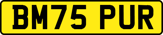 BM75PUR