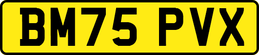 BM75PVX