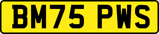 BM75PWS