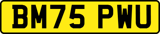 BM75PWU