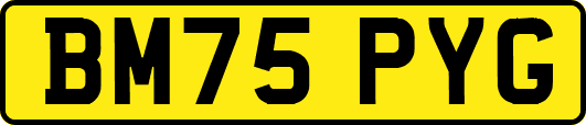 BM75PYG