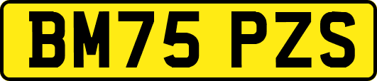 BM75PZS