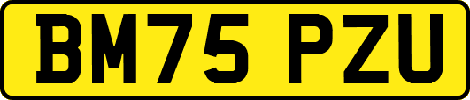 BM75PZU