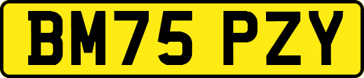 BM75PZY