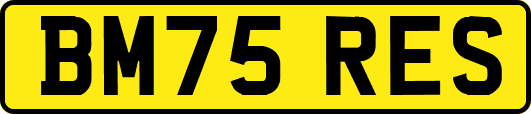 BM75RES