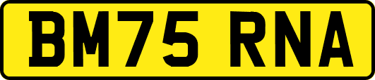BM75RNA