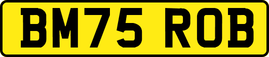 BM75ROB