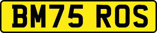 BM75ROS