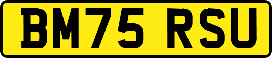 BM75RSU