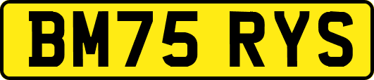 BM75RYS