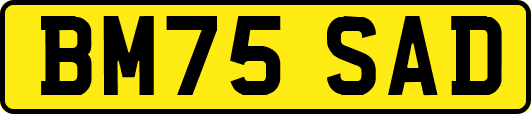 BM75SAD