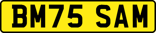 BM75SAM