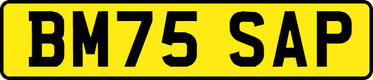 BM75SAP