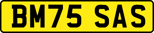 BM75SAS