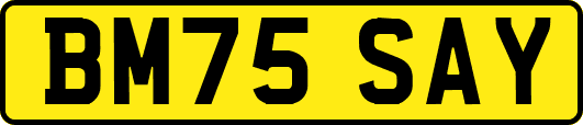 BM75SAY