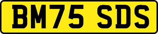 BM75SDS