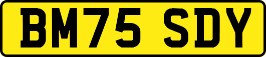 BM75SDY
