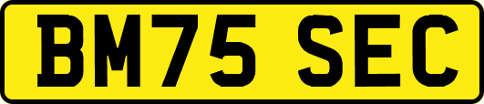 BM75SEC