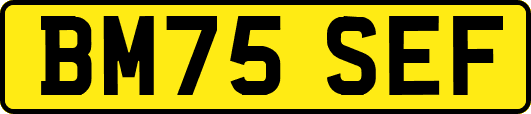BM75SEF