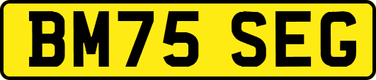 BM75SEG