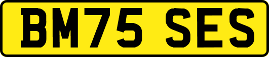 BM75SES
