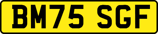 BM75SGF