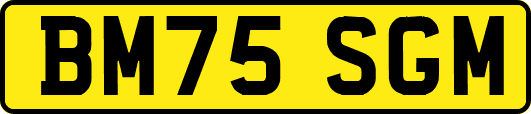 BM75SGM
