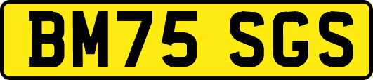 BM75SGS