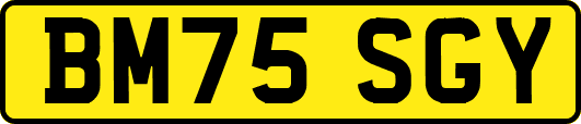 BM75SGY