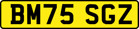 BM75SGZ