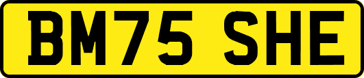BM75SHE