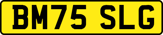 BM75SLG
