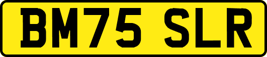 BM75SLR