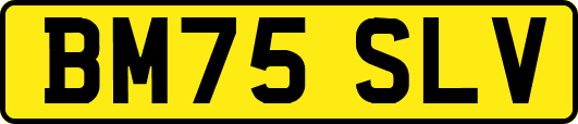 BM75SLV