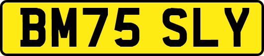 BM75SLY