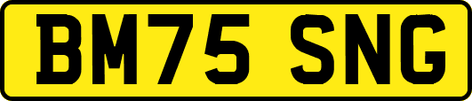 BM75SNG