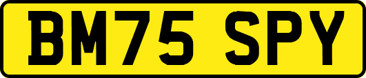 BM75SPY