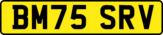BM75SRV