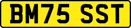 BM75SST