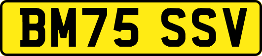BM75SSV