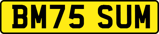 BM75SUM