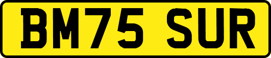 BM75SUR