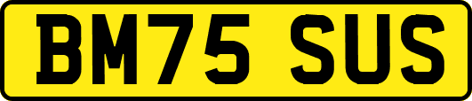 BM75SUS
