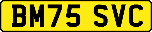 BM75SVC