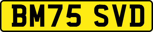 BM75SVD