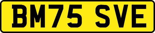 BM75SVE