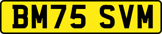 BM75SVM