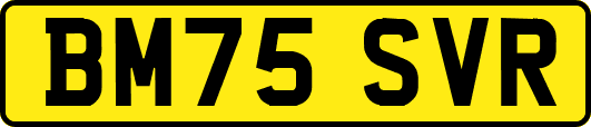 BM75SVR