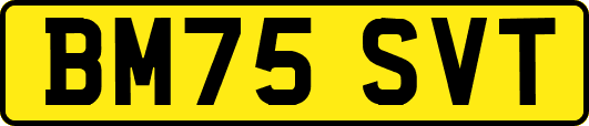 BM75SVT