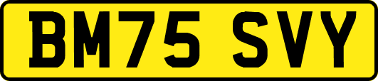 BM75SVY